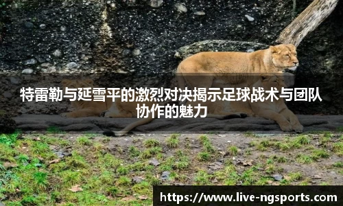 特雷勒与延雪平的激烈对决揭示足球战术与团队协作的魅力
